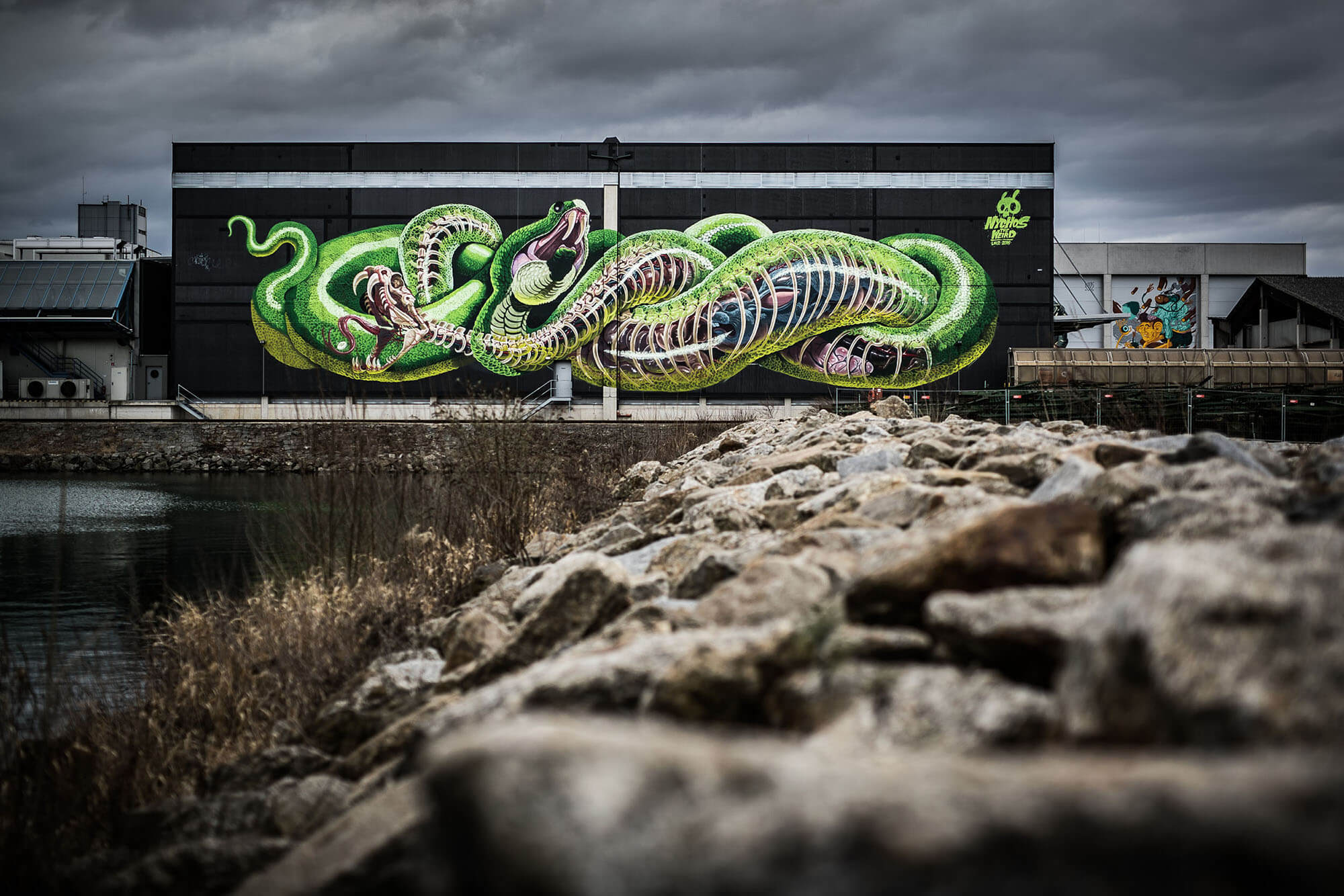 mural harbor graffiti artist art nychos lords crew flap photography